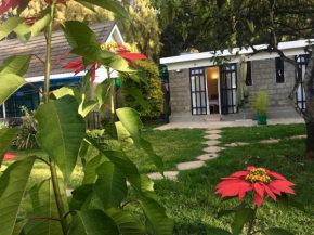 AnMac Studios